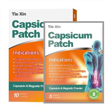 Capsicum Rheumatism Porous Pain Relief γύψο